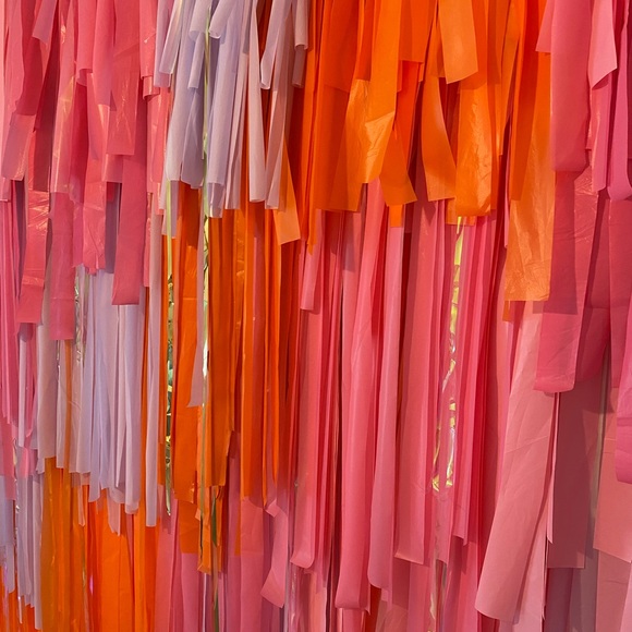 Photo Backdrop - Picture 4 of 4